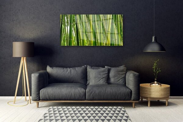Skleneny obraz Bambusový les bambusové výhonky 100x50 cm 2 Prívesky