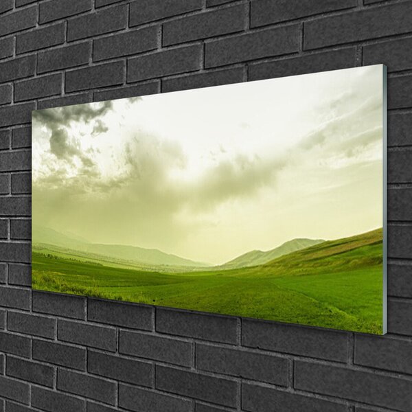 Skleneny obraz Lúka príroda zelený výhľad 100x50 cm 2 Prívesky