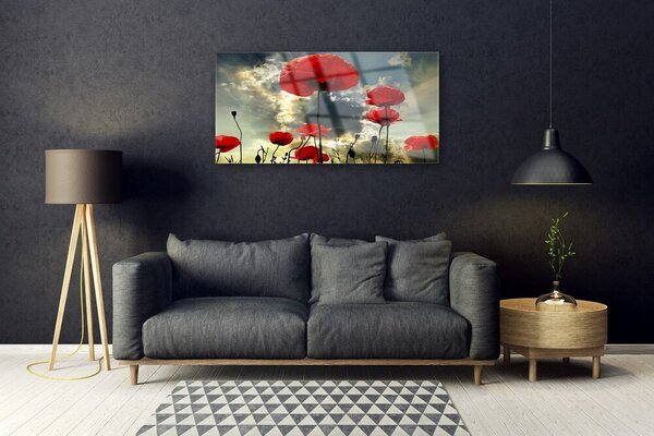 Skleneny obraz Maky kvety príroda 100x50 cm 2 Prívesky