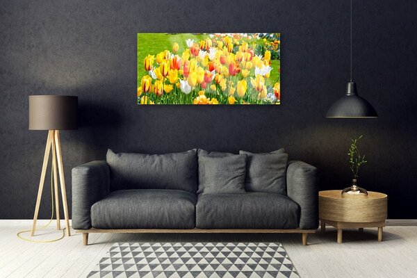 Skleneny obraz Tulipány kvety príroda 100x50 cm 2 Prívesky