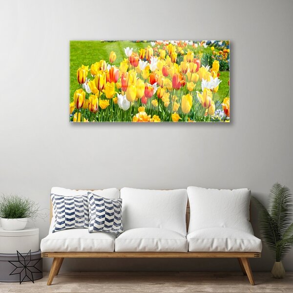 Skleneny obraz Tulipány kvety príroda 100x50 cm 2 Prívesky