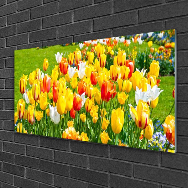 Skleneny obraz Tulipány kvety príroda 100x50 cm 2 Prívesky