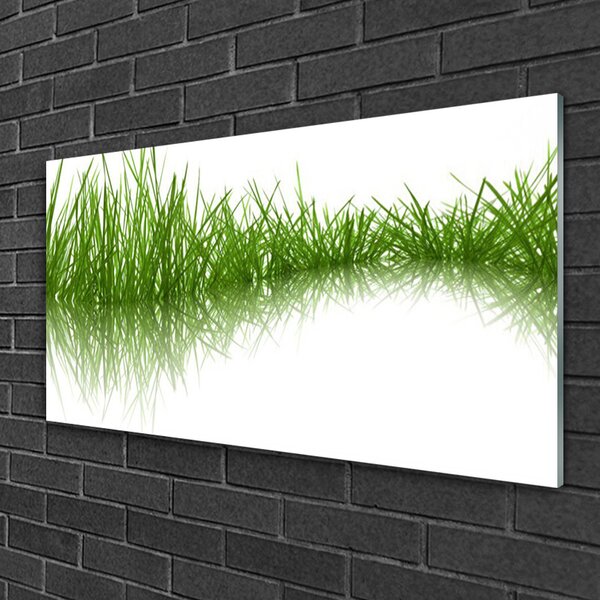 Skleneny obraz Tráva príroda rastlina 100x50 cm 2 Prívesky
