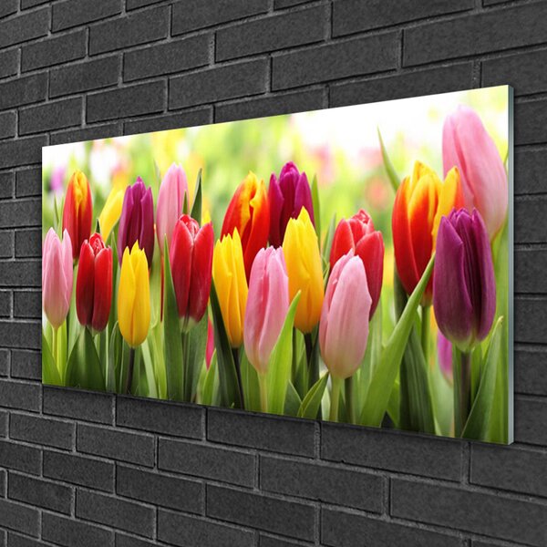 Skleneny obraz Tulipány kvety príroda 100x50 cm 2 Prívesky