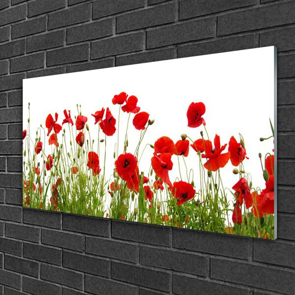 Skleneny obraz Maky kvety príroda 100x50 cm 2 Prívesky