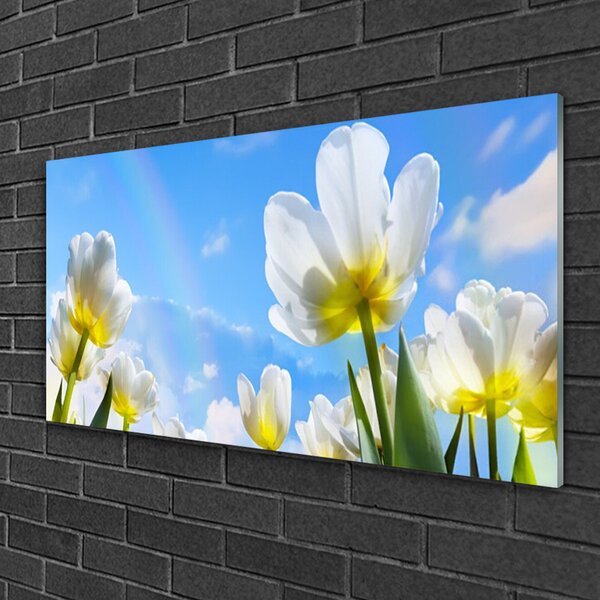Skleneny obraz Rastliny kvety tulipány 100x50 cm 2 Prívesky