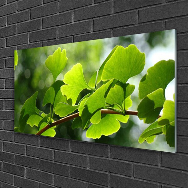 Skleneny obraz Vetvy listy príroda strom 100x50 cm 2 Prívesky