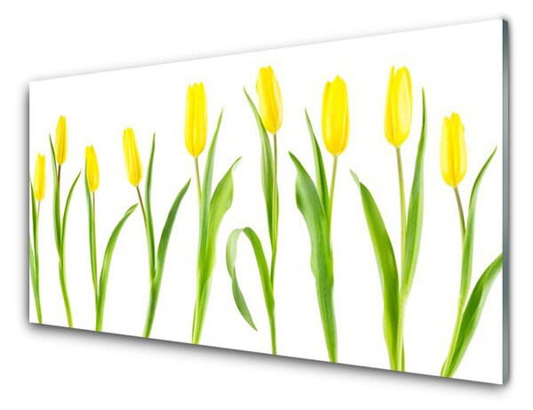 Sklenený obklad Do kuchyne Žlté tulipány kvety 100x50 cm