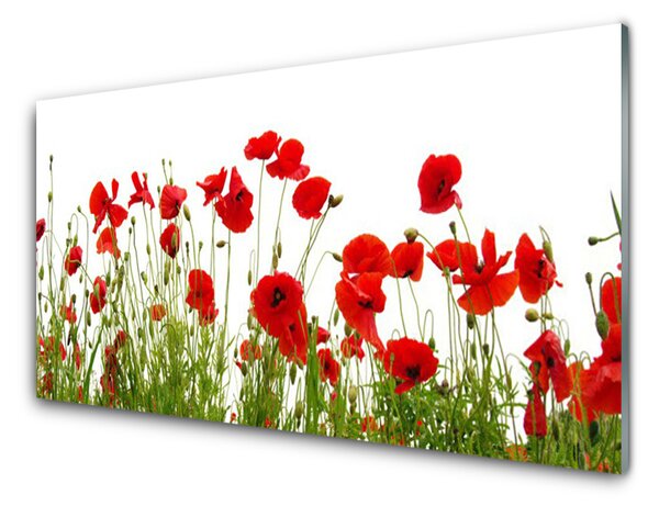 Sklenený obklad Do kuchyne Maky kvety príroda 120x60 cm