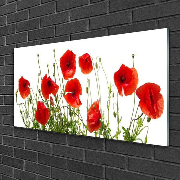Skleneny obraz Maky kvety príroda 100x50 cm 2 Prívesky