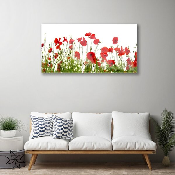 Skleneny obraz Maky kvety príroda 100x50 cm 2 Prívesky