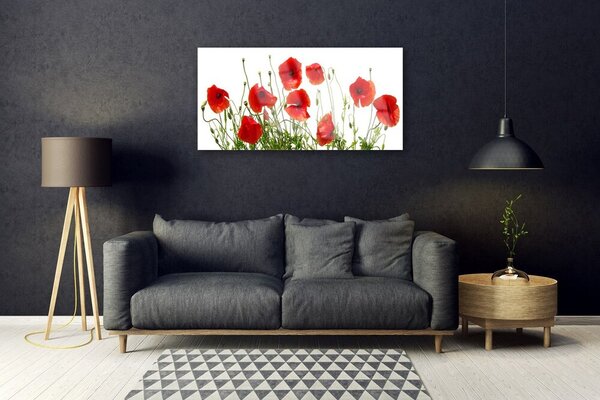 Skleneny obraz Maky kvety príroda 100x50 cm 2 Prívesky