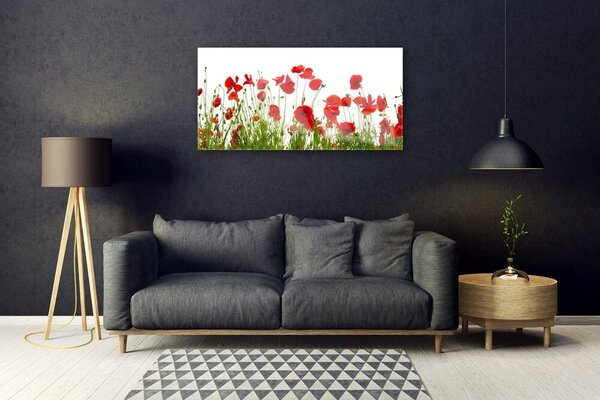 Skleneny obraz Maky kvety príroda 100x50 cm 2 Prívesky