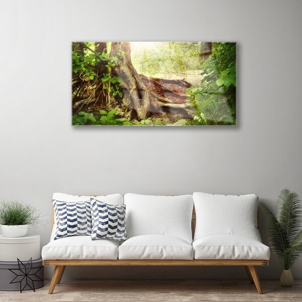 Skleneny obraz Strom kmeň príroda les 100x50 cm 2 Prívesky