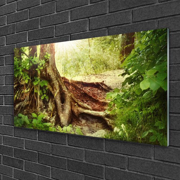 Skleneny obraz Strom kmeň príroda les 100x50 cm 2 Prívesky
