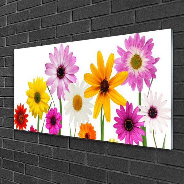 Skleneny obraz Farebné kvety príroda 100x50 cm 2 Prívesky