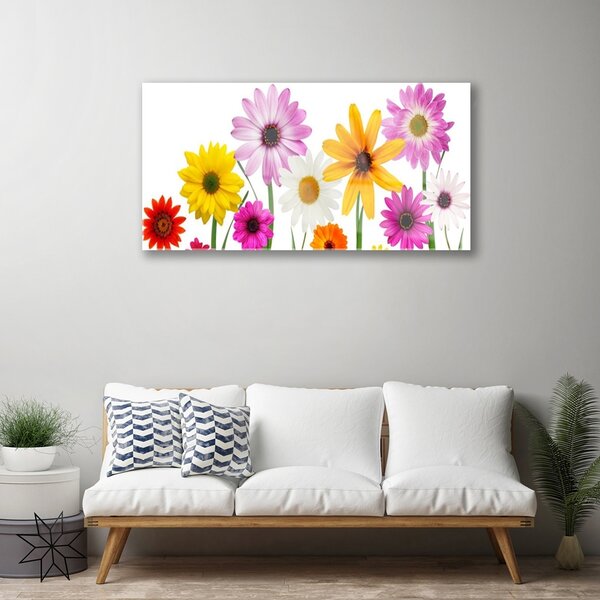 Skleneny obraz Farebné kvety príroda 100x50 cm 2 Prívesky