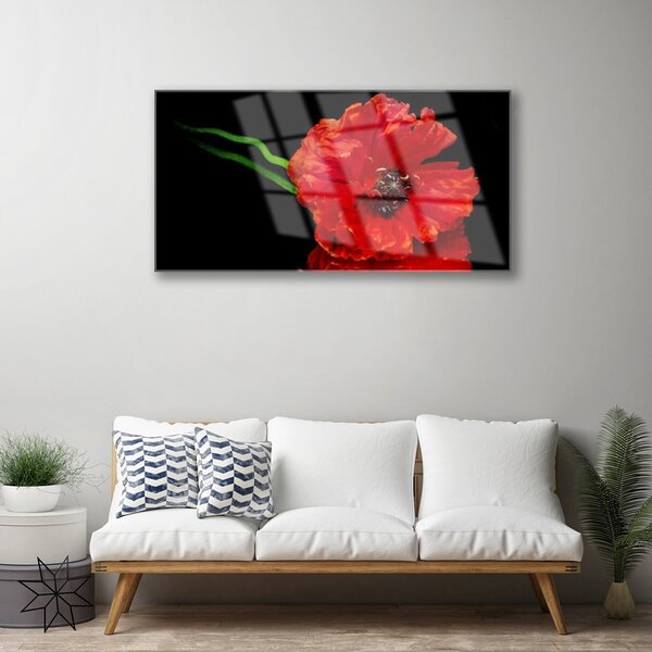 Skleneny obraz Kvet mak rastlina príroda 100x50 cm 2 Prívesky