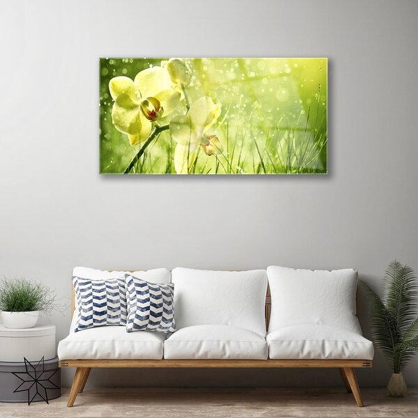 Skleneny obraz Tráva príroda rastlina 100x50 cm 2 Prívesky