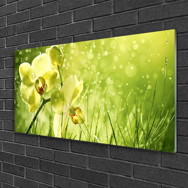 Skleneny obraz Tráva príroda rastlina 100x50 cm 2 Prívesky