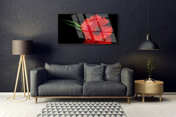 Skleneny obraz Kvet mak rastlina príroda 100x50 cm 2 Prívesky