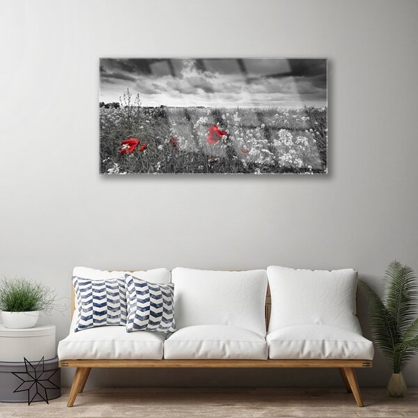 Skleneny obraz Lúka kvety príroda 100x50 cm 2 Prívesky
