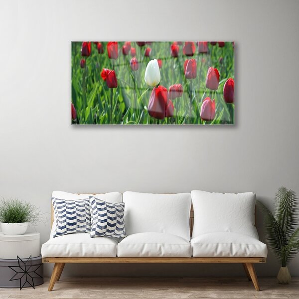 Skleneny obraz Tulipány kvety príroda 100x50 cm 2 Prívesky