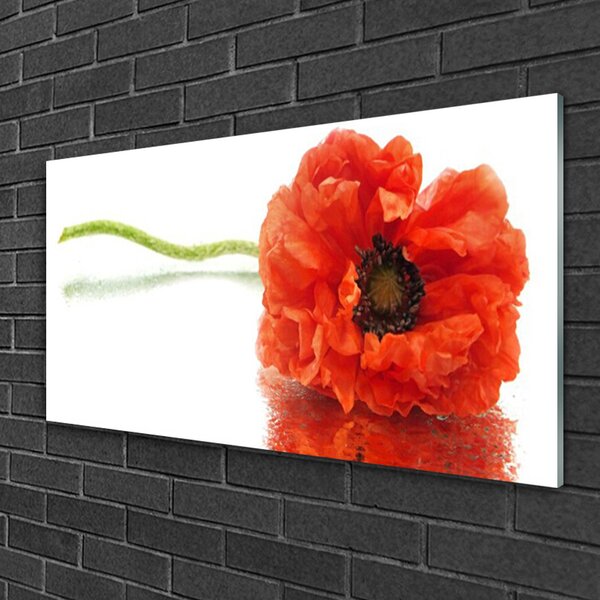 Skleneny obraz Kvety príroda 100x50 cm 2 Prívesky