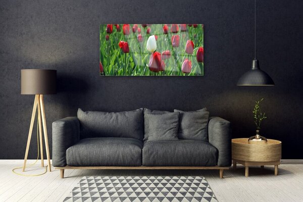 Skleneny obraz Tulipány kvety príroda 100x50 cm 2 Prívesky