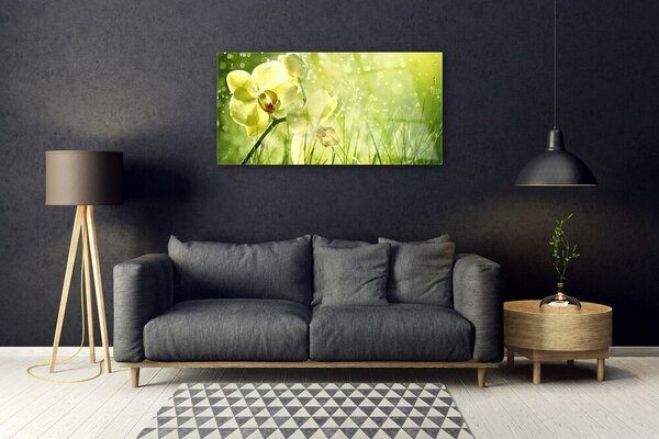 Skleneny obraz Tráva príroda rastlina 100x50 cm 2 Prívesky