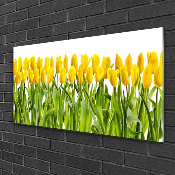 Skleneny obraz Tulipány kvety príroda 100x50 cm 2 Prívesky