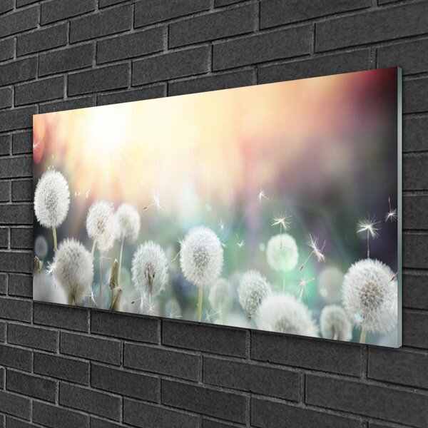 Skleneny obraz Púpavy kvety príroda 100x50 cm 2 Prívesky