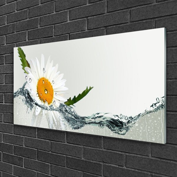 Skleneny obraz Sedmokráska vo vode 100x50 cm 2 Prívesky