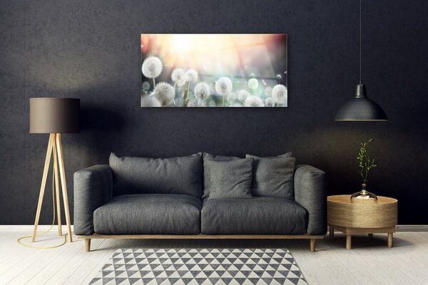 Skleneny obraz Púpavy kvety príroda 100x50 cm 2 Prívesky