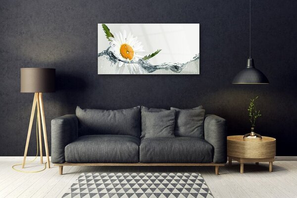Skleneny obraz Sedmokráska vo vode 100x50 cm 2 Prívesky