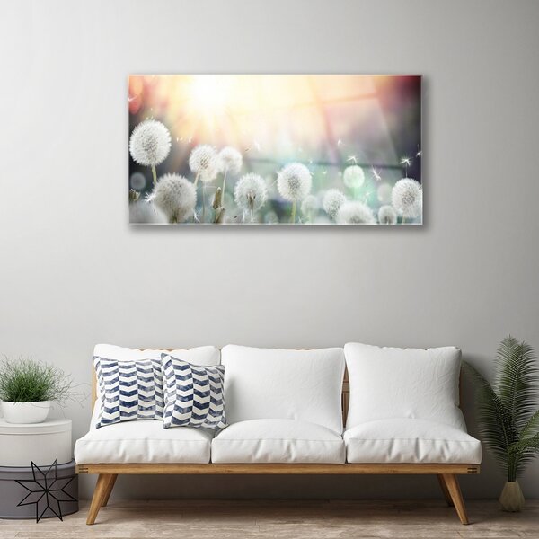 Skleneny obraz Púpavy kvety príroda 100x50 cm 2 Prívesky
