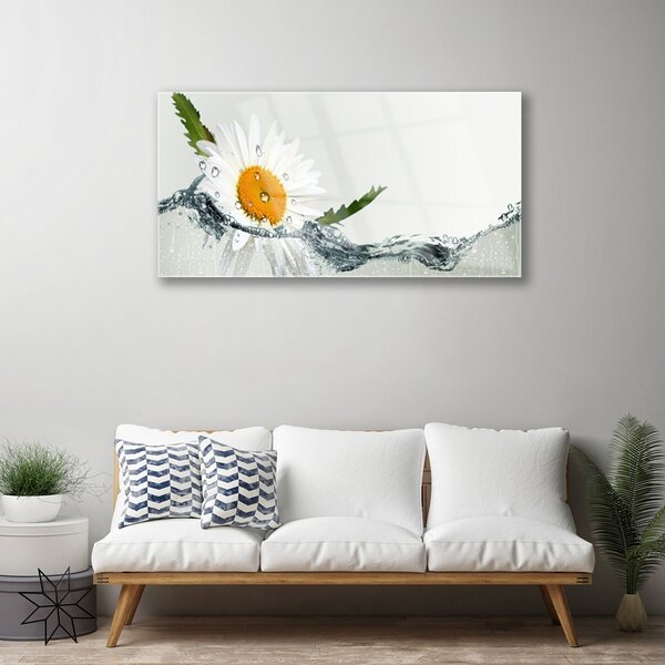 Skleneny obraz Sedmokráska vo vode 100x50 cm 2 Prívesky