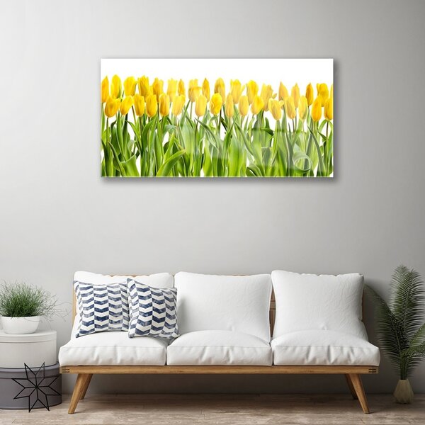 Skleneny obraz Tulipány kvety príroda 100x50 cm 2 Prívesky