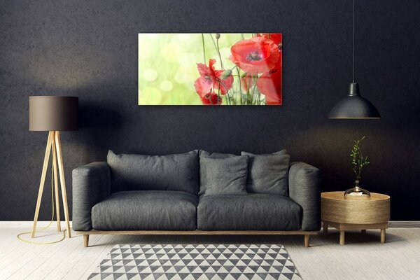 Skleneny obraz Maky kvety príroda 100x50 cm 2 Prívesky