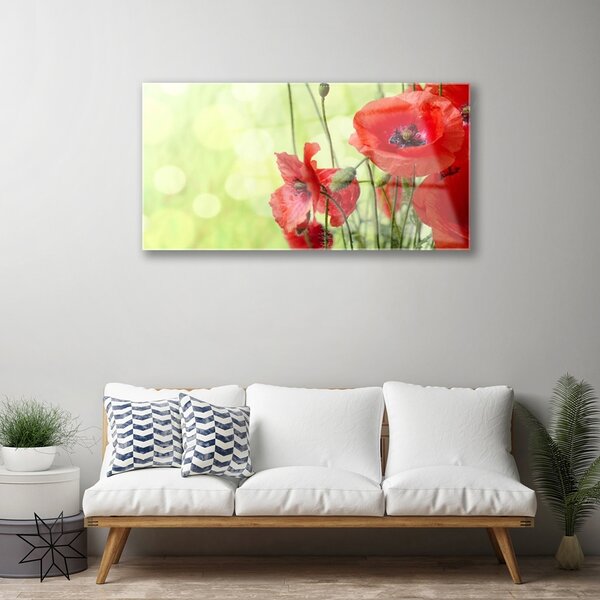 Skleneny obraz Maky kvety príroda 100x50 cm 2 Prívesky