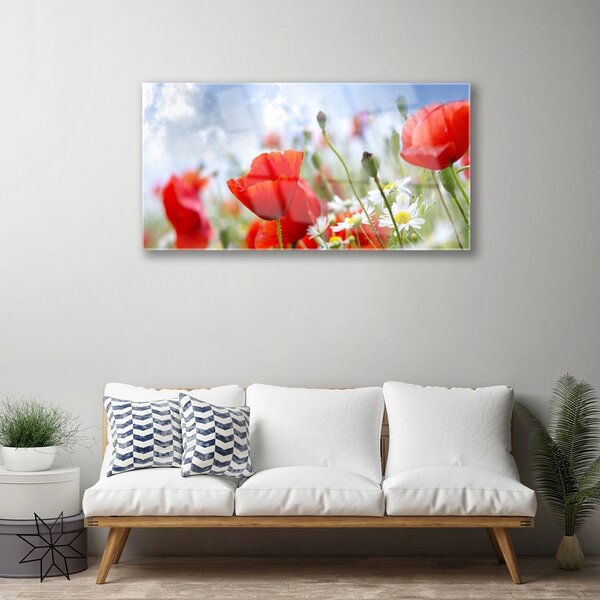 Skleneny obraz Maky sedmokrásky kvety 100x50 cm 2 Prívesky