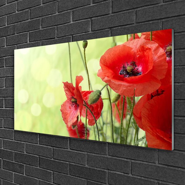 Skleneny obraz Maky kvety príroda 100x50 cm 2 Prívesky