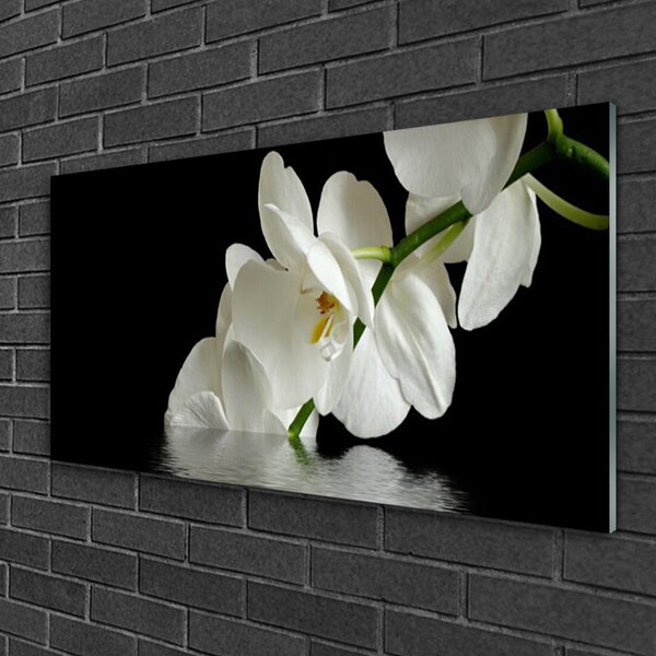 Skleneny obraz Orchidea vo vode kvety 100x50 cm 2 Prívesky