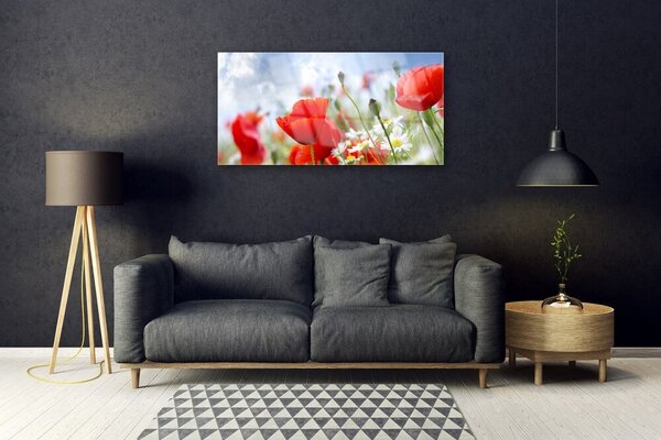 Skleneny obraz Maky sedmokrásky kvety 100x50 cm 2 Prívesky