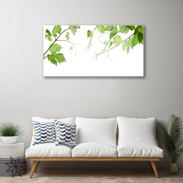 Skleneny obraz Vetvy listy príroda kvety 100x50 cm 2 Prívesky