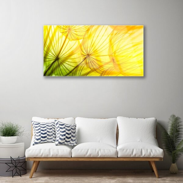 Skleneny obraz Púpavy kvety príroda 100x50 cm 2 Prívesky
