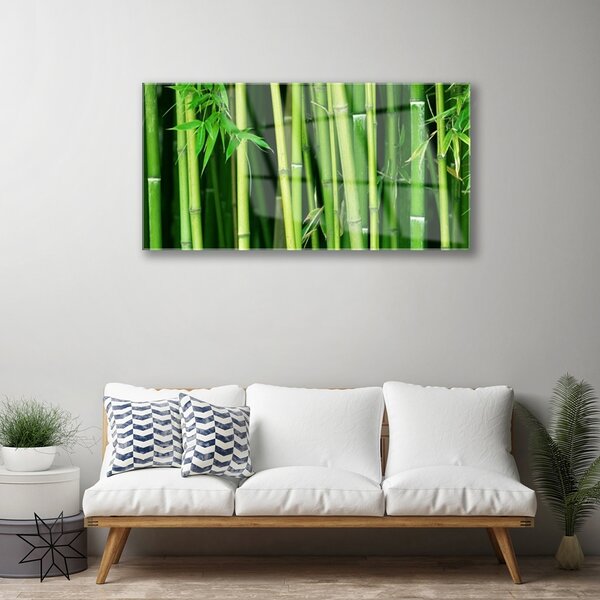 Skleneny obraz Bambusový les bambus príroda 100x50 cm 2 Prívesky