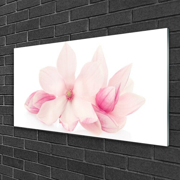 Skleneny obraz Kvety plátky rastlina príroda 100x50 cm 2 Prívesky