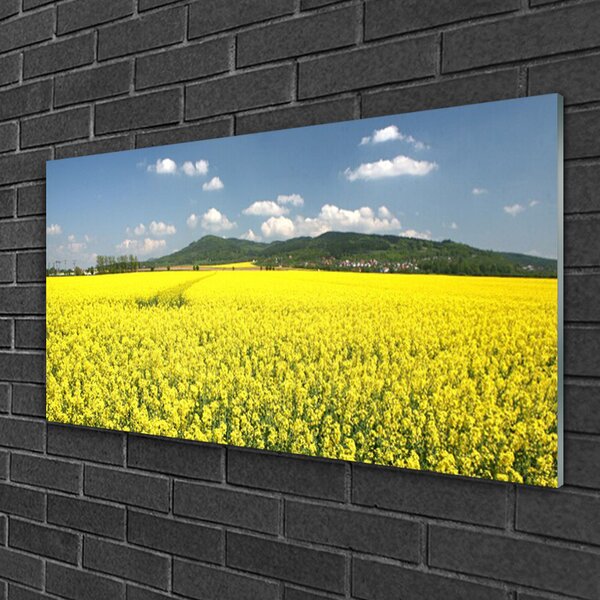 Skleneny obraz Pole lúka príroda repky olejnej 100x50 cm 2 Prívesky