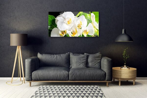 Skleneny obraz Orchidea kvety príroda 100x50 cm 2 Prívesky